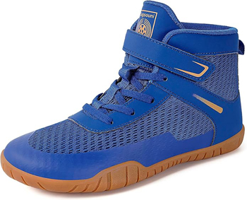Wrestling Shoe