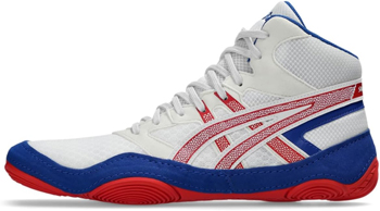 Wrestling Shoe
